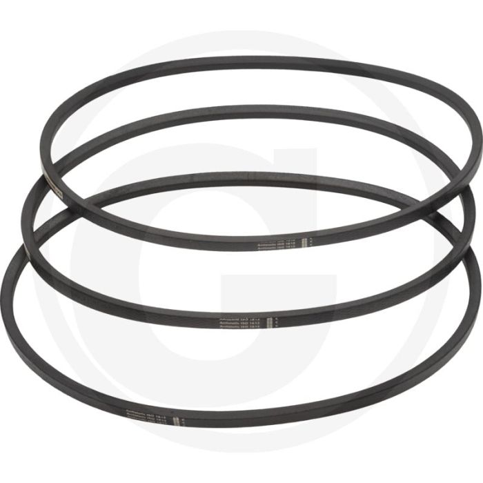 Optibelt V-snaar (3 stuks) 17/Bx1163 li. - Pöttinger EUROCAT 276, 271, 311, 316 Optibelt V-snaar (3 stuks) 17/Bx1163 li. - Pöttinger EUROCAT 276, 271, 311, 316