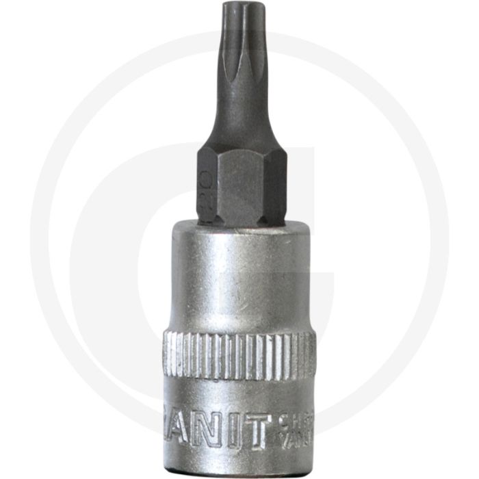 Black edition black edition 1/4" dopsleutelbit tx, t20 - lengte 37mm