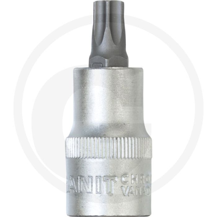 Black edition black edition 1/2" Steckschlüssel-Bit tx, t60 - Länge 55.2mm