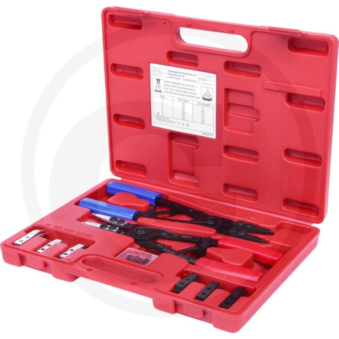 Ks tools borgveertangenset met ratelfunctie 20-delig - voor binnen- en buitenringen - 8 verwisselbare punten