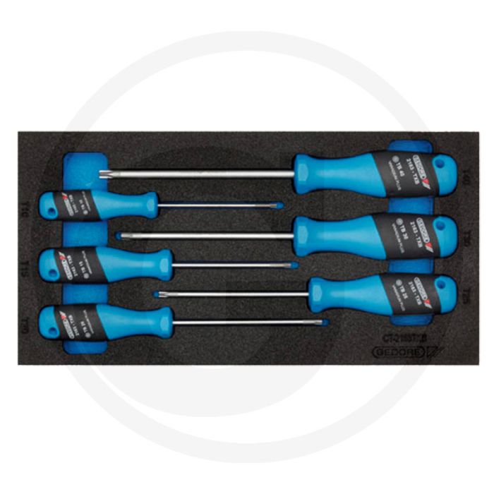 Gedore schroevendraaierset, btx ct-module 6-delig, maten t8-t30.