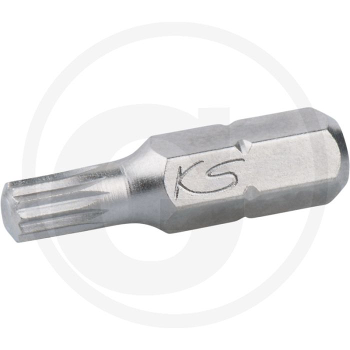 Ks tools Embout classique 1/4" pour vielzahnschrauben, 25mm, m8 - profil polydent, nickelé Ks tools Embout classique 1/4" pour vielzahnschrauben, 25mm, m8 - profil polydent, nickelé