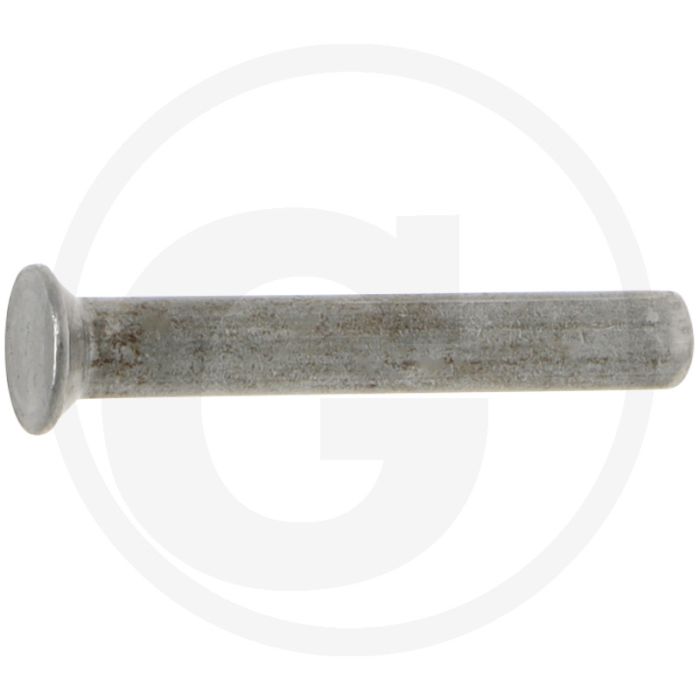 Niet 6 x 40 mm - verschiedene Teile