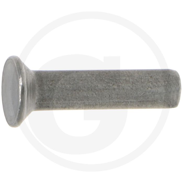 Klinknagel 6 x 22 mm ng plus 4