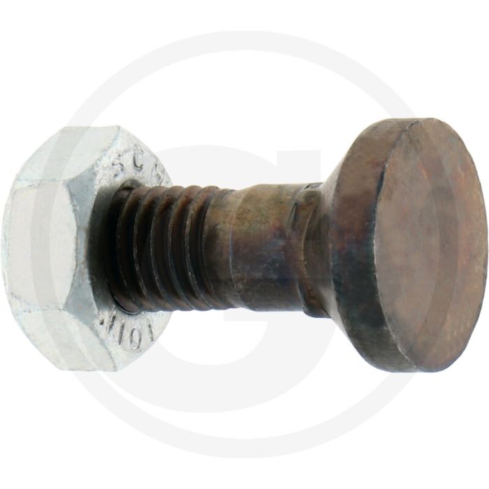 Ploegbout m10 x 33, 12.9 - rond met vierkante kop