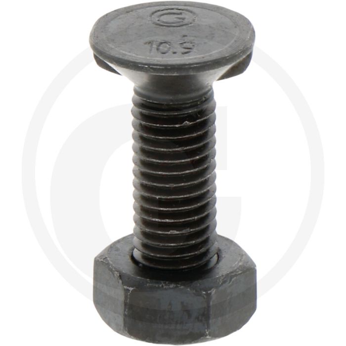 Blister ploegbout m10x35-10,9 vpe12 - rond met 2 nokken