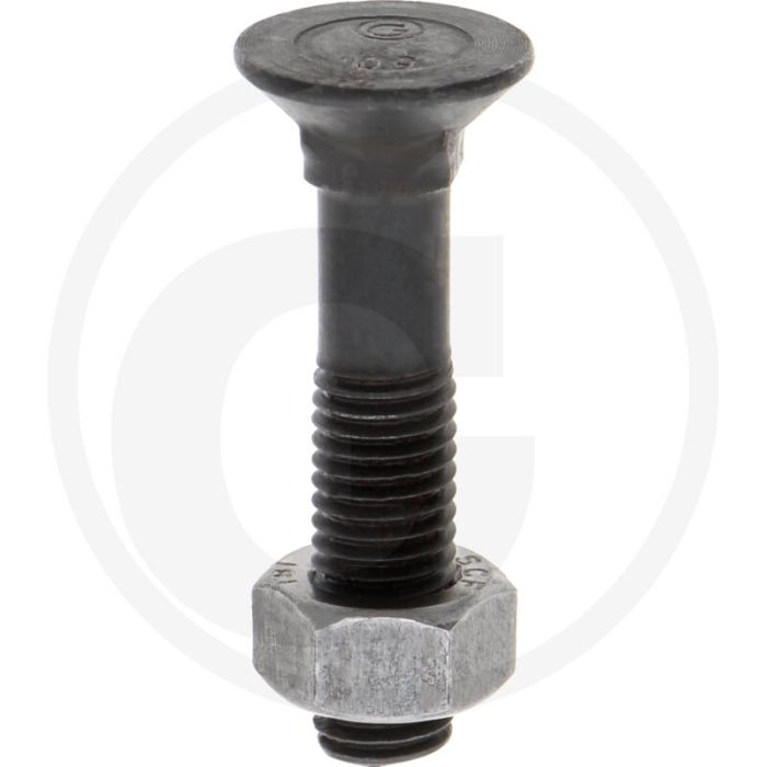 Ploegbout m12 x 60, 8.8 - rond met vierkante kop