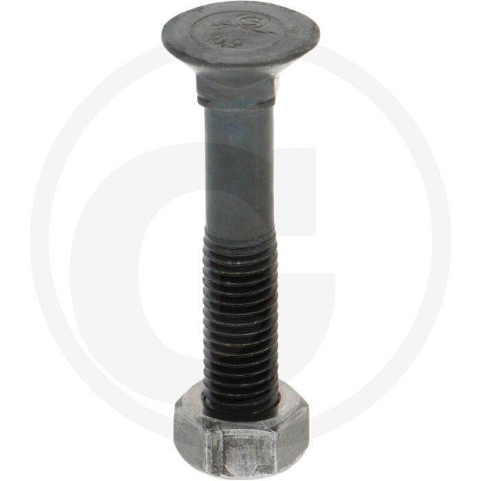 Blister ploegbout m12x70-10.9 rond met vierkante kop