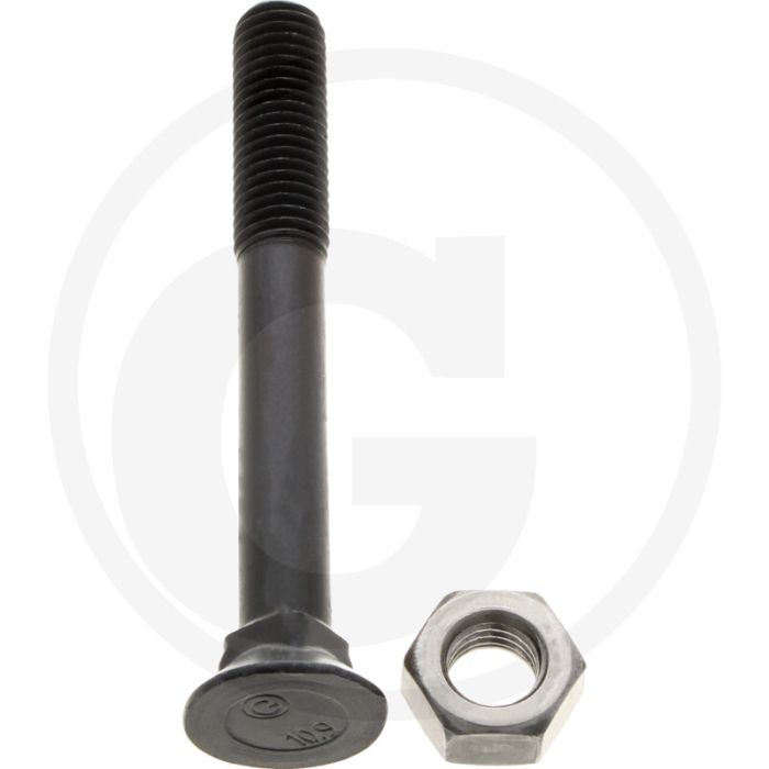 Boulon de charrue m12x100 din 608 - acier, 10.9, rond avec tête carrée
