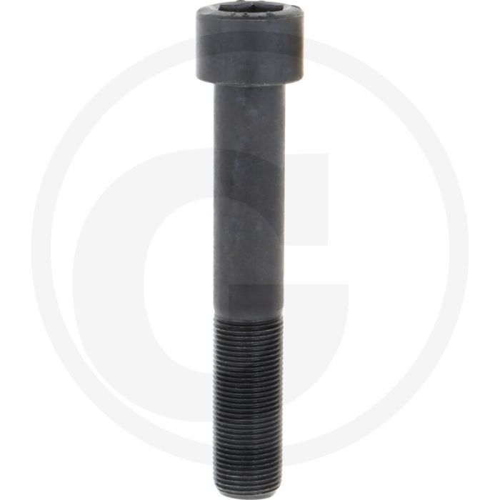 Schraube M20 (M20 x 1,5 x 120 - 10.9)