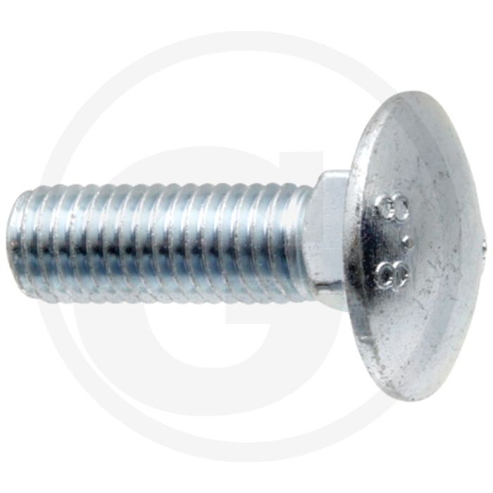 Nummerplaatbouten (M12 x 40)