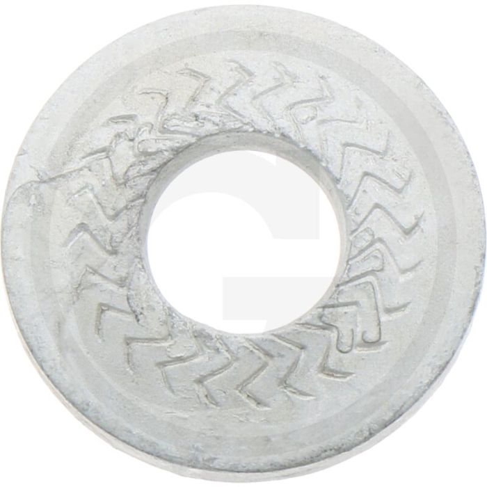 Rondelle élastique dentée 12 x 32,3 x 2,8 mm - Köckerling Rebell profiline