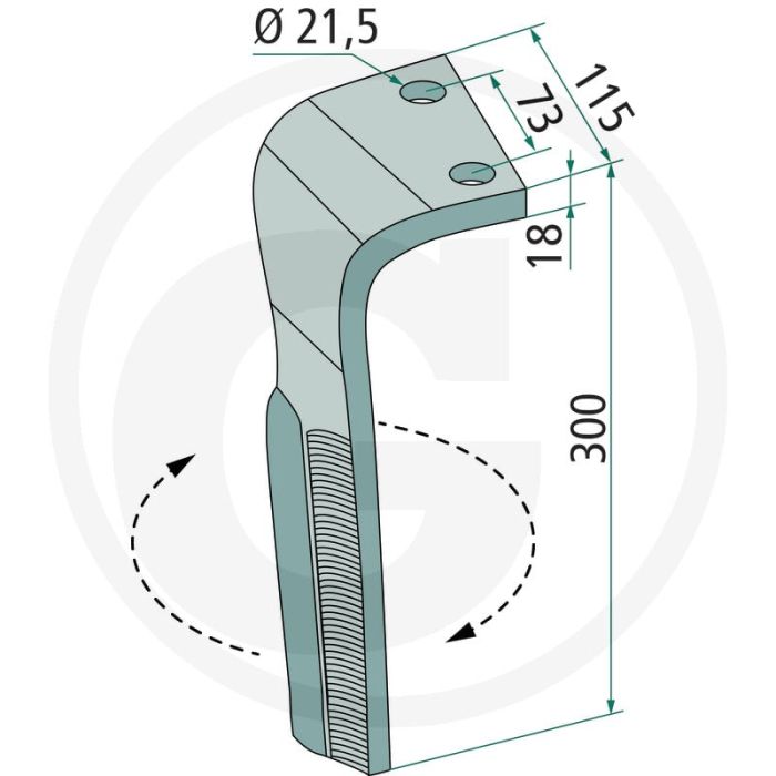 Dent de la tête de rotor (gauche, enrobée)