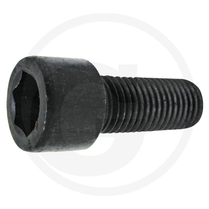 Binnenzeskant bout (M16 x 2 x 55 mm, 12.9)