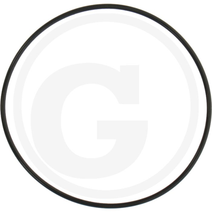 O-ring (65 x 1,8 mm) O-ring (65 x 1,8 mm)