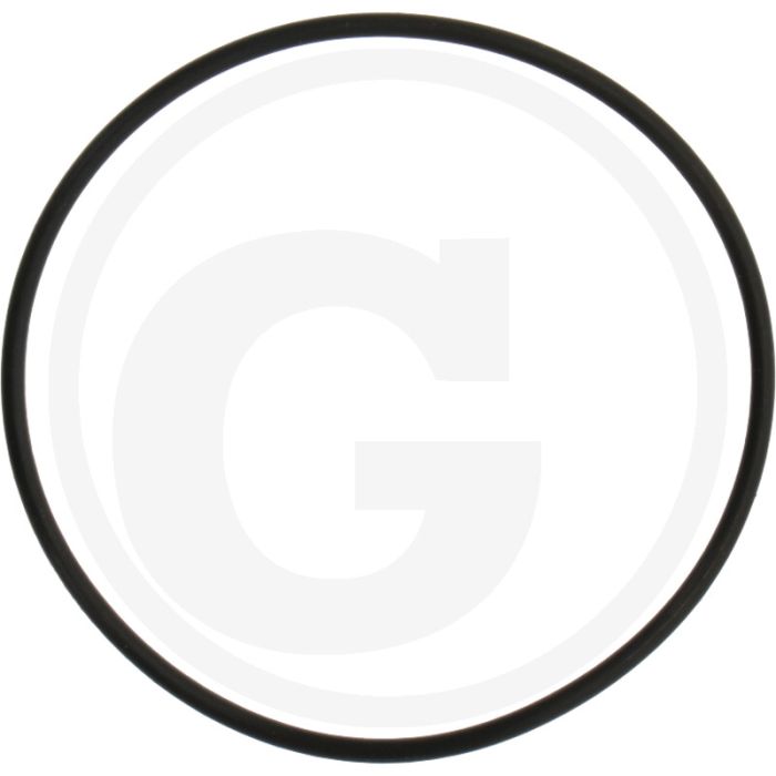 O-ring (55 x 2 mm)