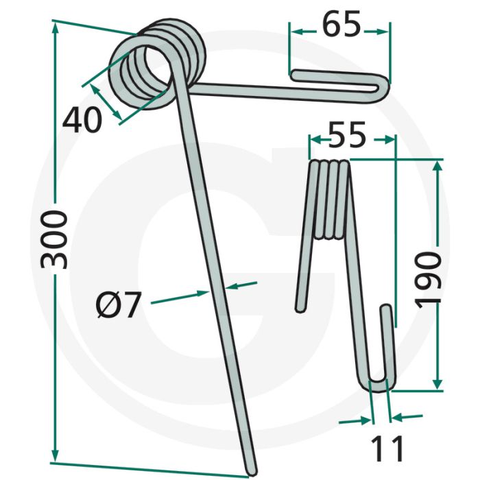 Eggetand (voor, 15°)