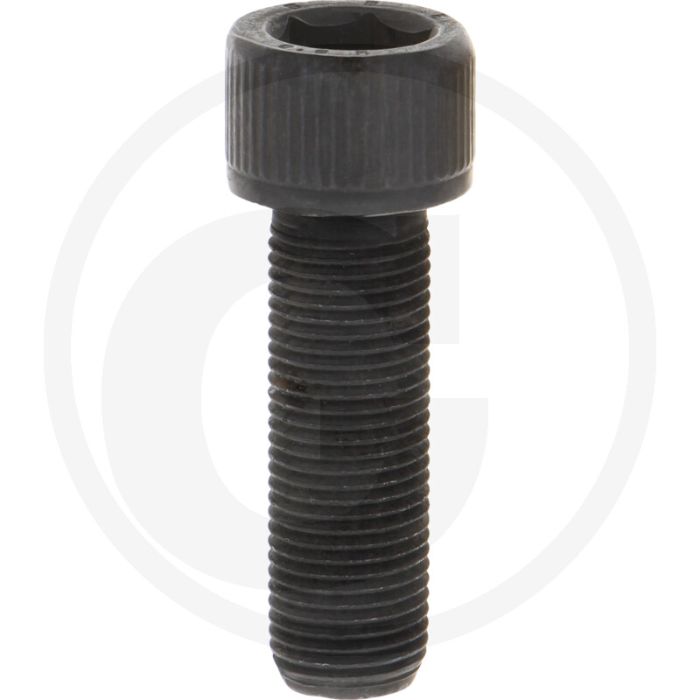 Erco Schraube (STF-22HA M16x15)