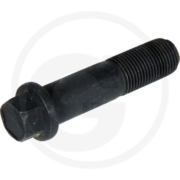 Greenbolt Schraube 2 1/2" voor Greenteeth