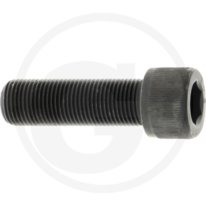 Rayco Bout (2")