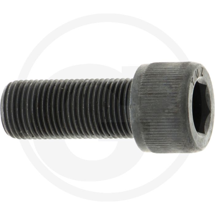 Rayco Bout (1 1/2")