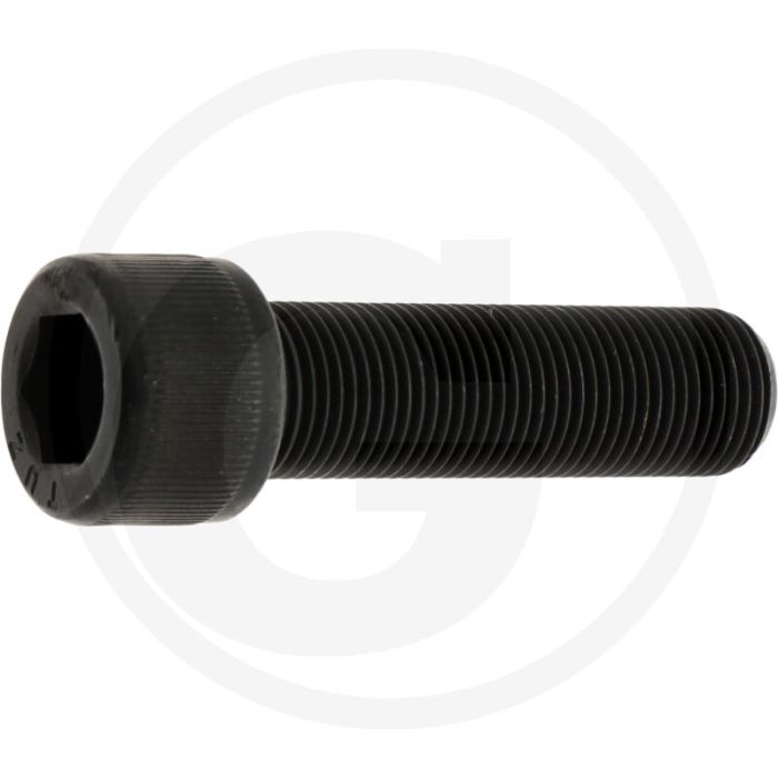 Rayco Bout (2 1/4")