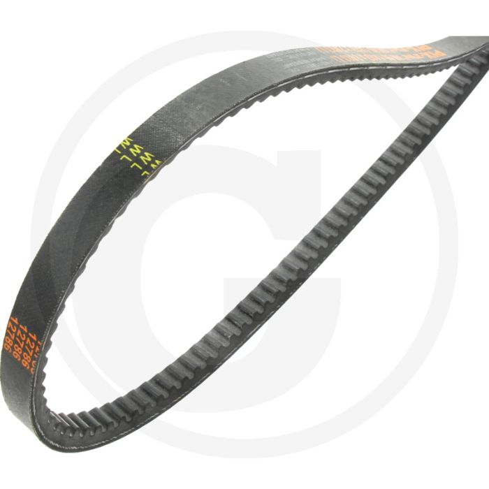 Riemen voor Rayco RG25HD stobbenfrees