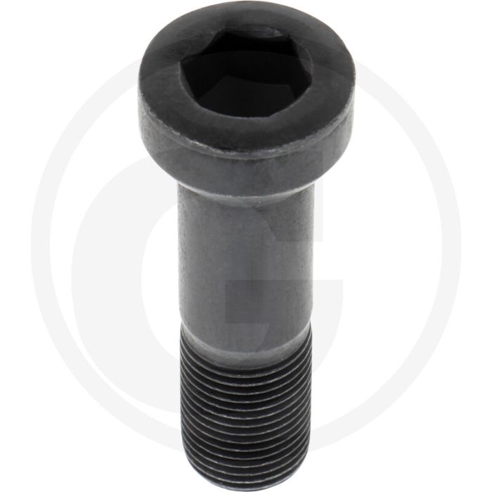 Toro Schraube 18x2.5 - passend voor Toro. Lengte: 18mm.
