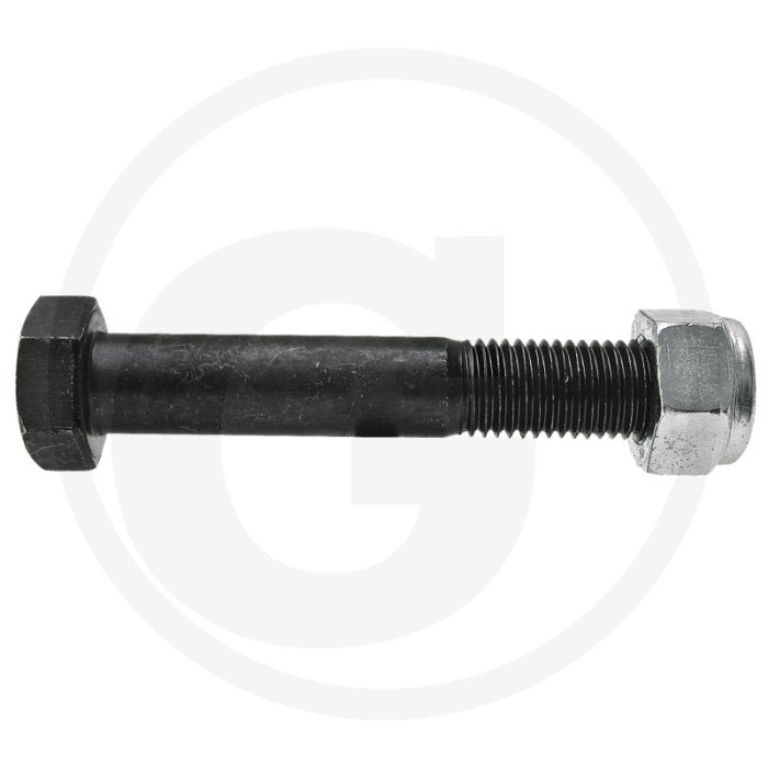 Bout met moer (M20 x 2,5 x 120 mm, 10.9)