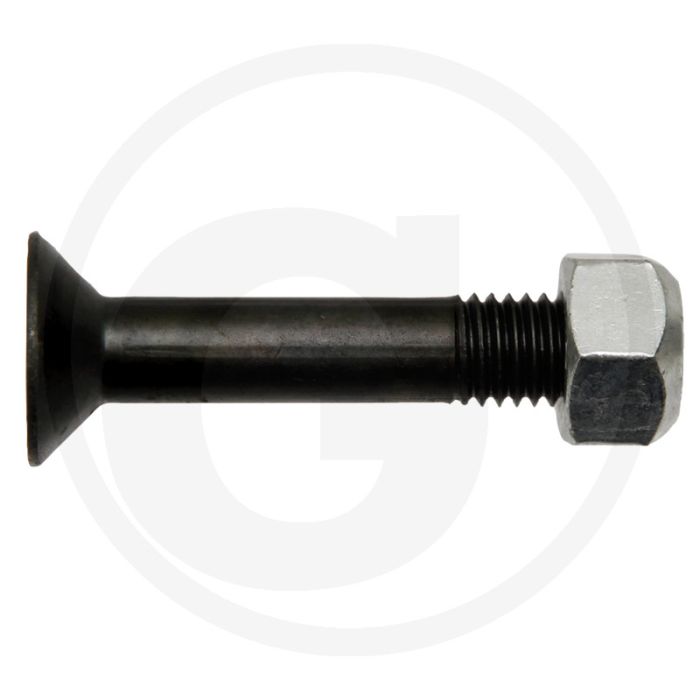 Bout met borgmoer (M12 x 65 mm 10.9)