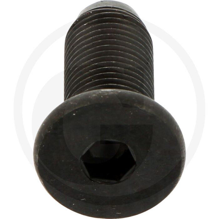 BOUT M 12X1.25X30 10.9 - L30, M12 x 1.25, Bisonte