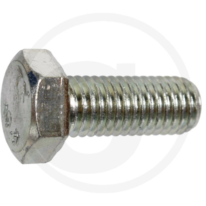 Bout (M12 x 1,75 x 30 mm, 10.9)