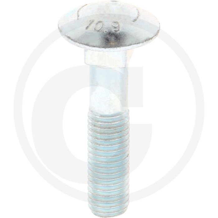 Bout (M12 x 55 mm)