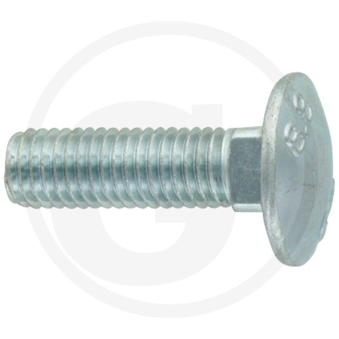 Nummerplaatbouten M10 x 35, DIN 603 - 08V - Amazone