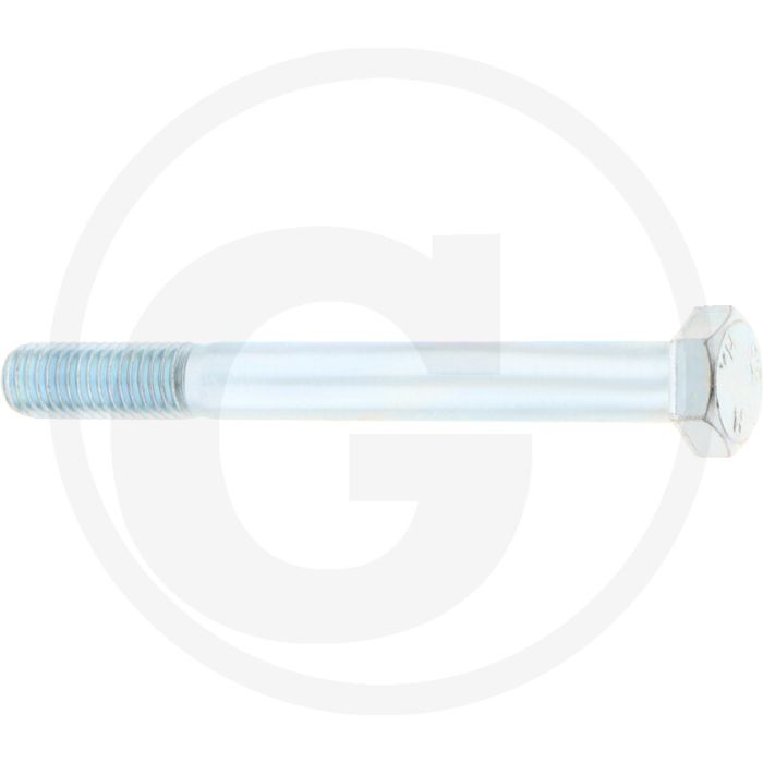 Bednar Bout Striegel-Pro