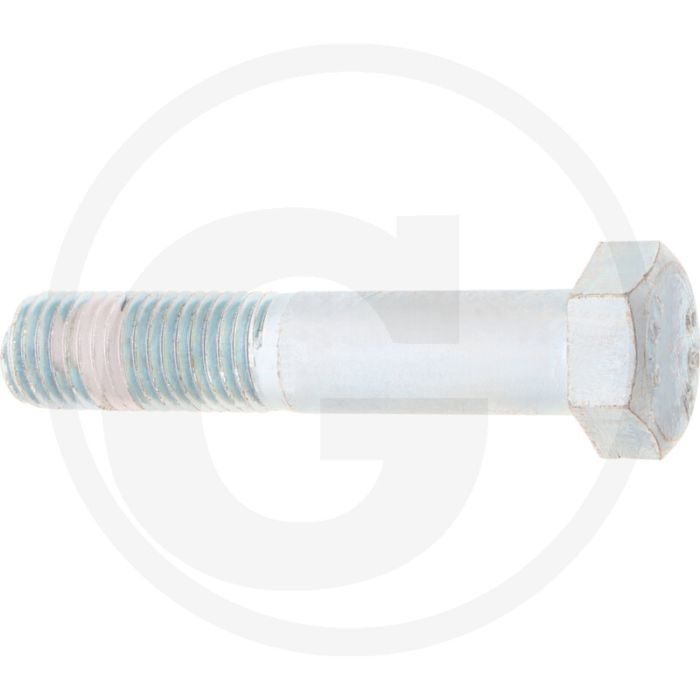 Bednar Bout - Type: MZ, MM