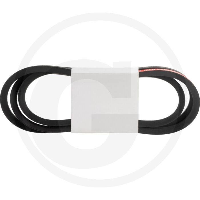 Dücker V-snaar (SPB x 2700 Red Power)