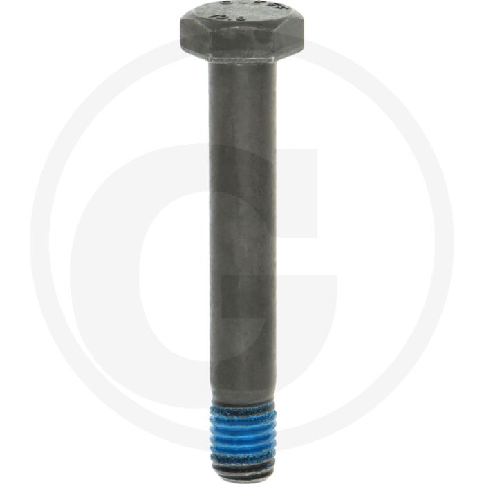 Schroef ( DIN 931 - M12 x 77 - 10.9)