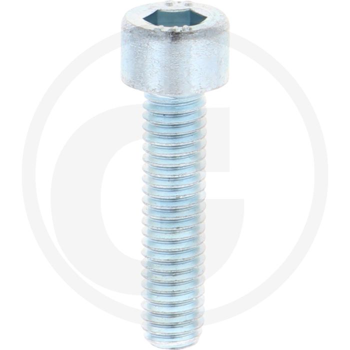 Dücker Zylinderschraube (DIN 912 - M6 x 25)