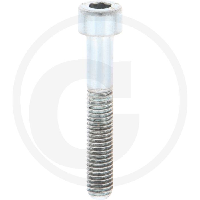 Dücker Zylinderschraube (DIN 912 - M8 x 50)