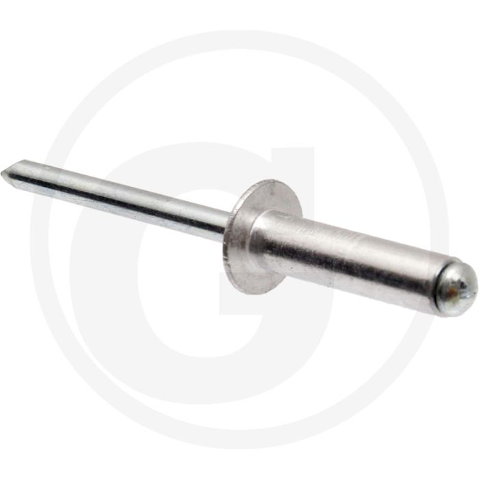 Horsch Blindklinknagels (6 x 20 mm)