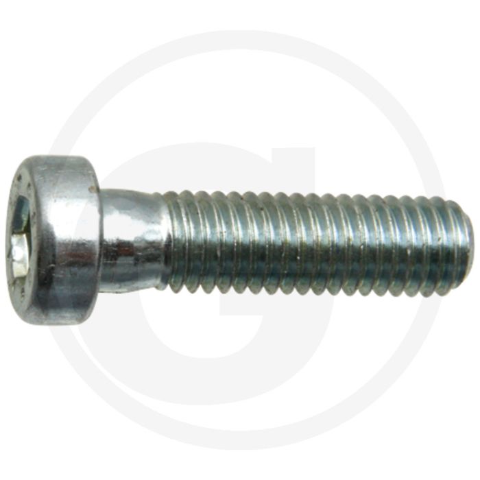 Boulon à tête plate (M8 x 30 mm)