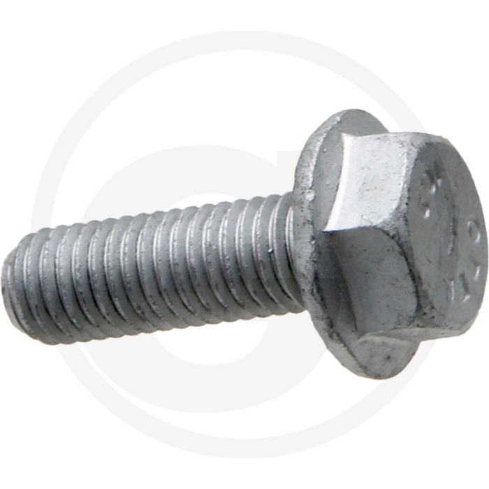 Horsch Bout (M10 x30)
