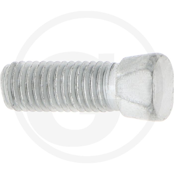 Maschio Bout schaar ((zonder moer)  M12 x 38 mm)