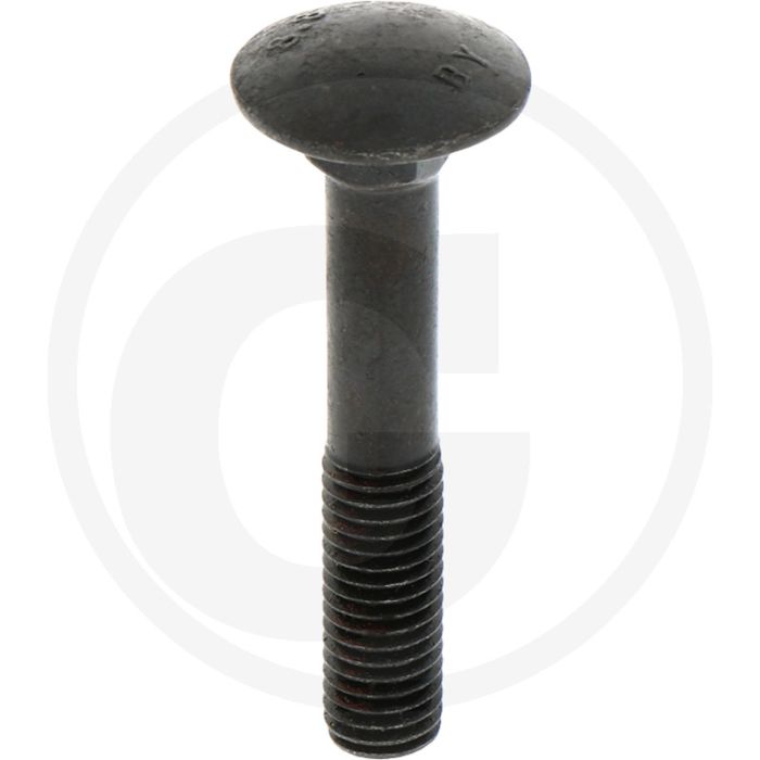 Maschio Nummerplaatbouten (zonder moer)