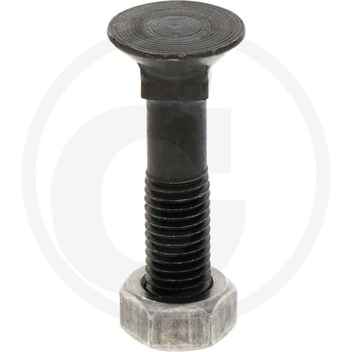 Maschio Bout en moer 12 x 60 mm - HL-HP