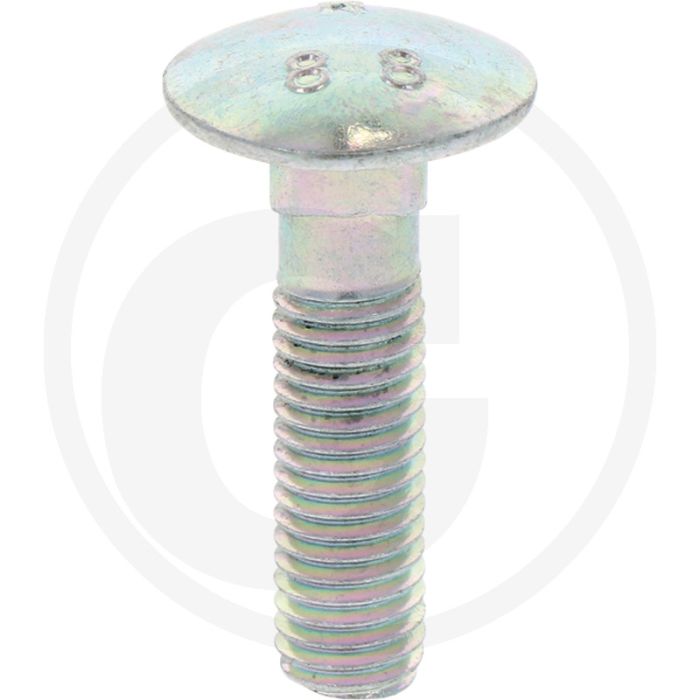 Maschio Nummerplaatbouten 10 x 40 mm - HL-HP