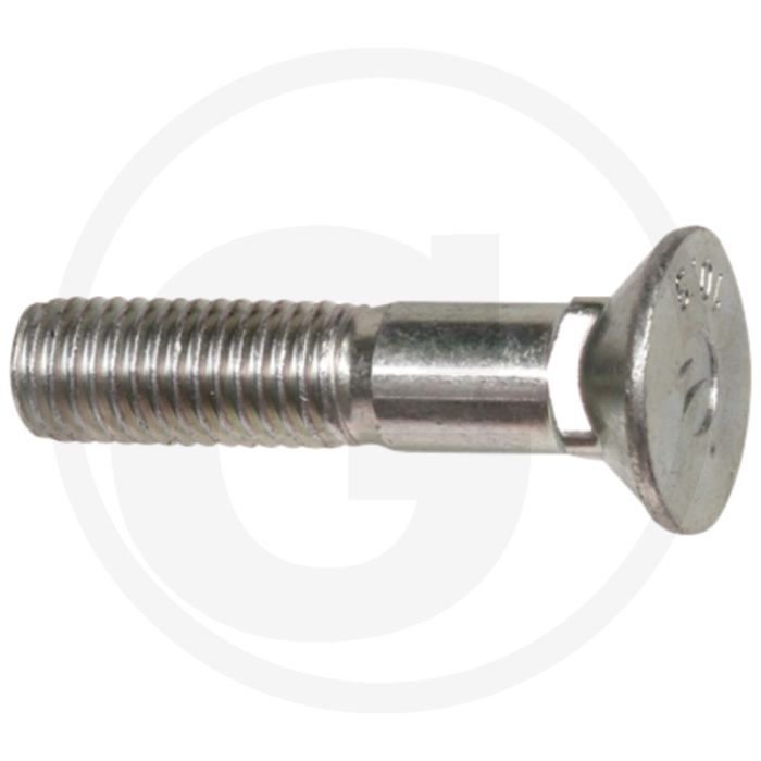 Boulon de Rabe M12 x 55, 10.9