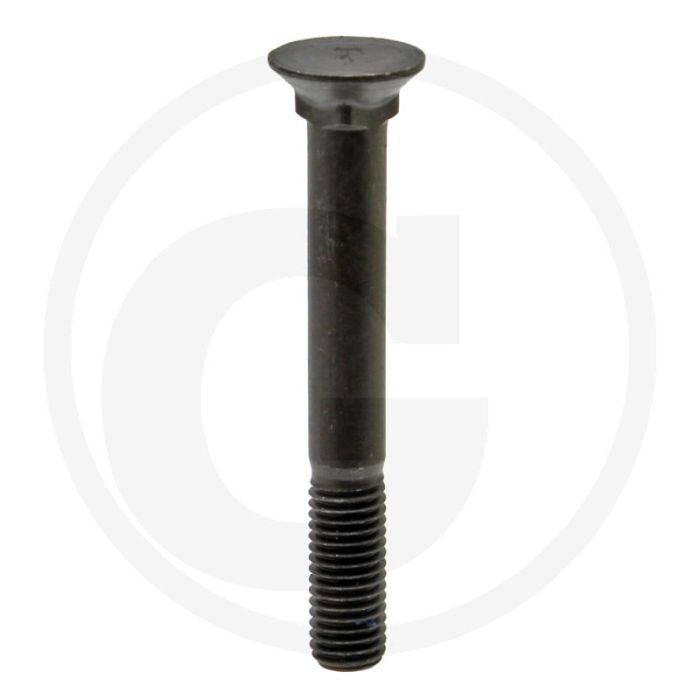 Boulon de Rabe - Dimensions (mm) : M12 x 95