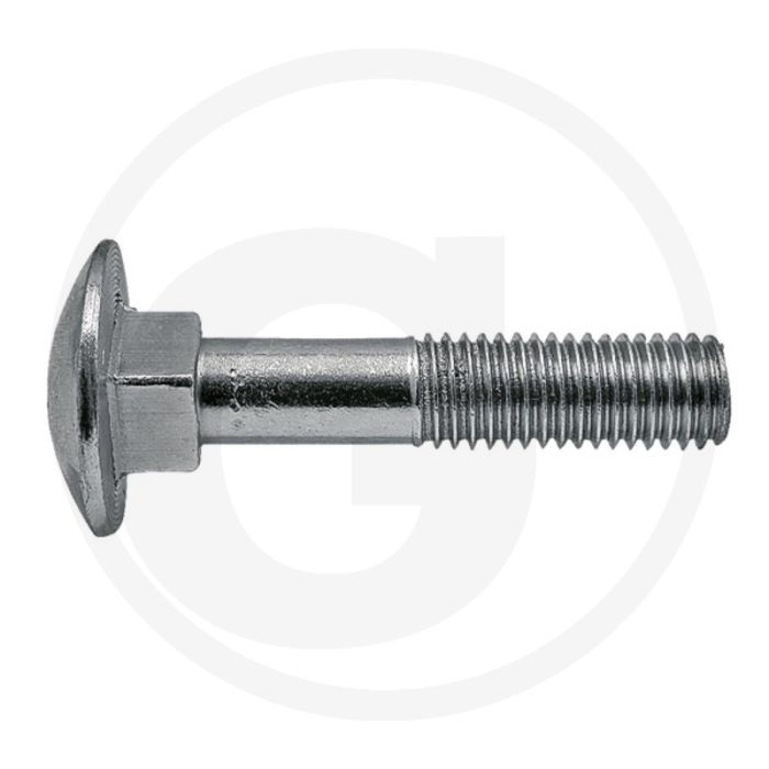 Slotbouten M10 x 30, DIN 603 - Staal, Verzinkt, 8.8, Ø D: 10mm